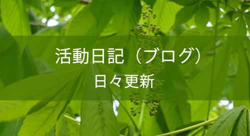 活動日記（ブログ）